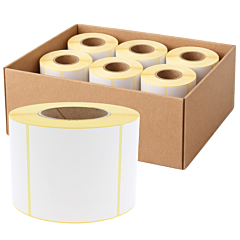 thermal transfer labels, paper, 100 x 100 mm, 6 rolls per box - View Product